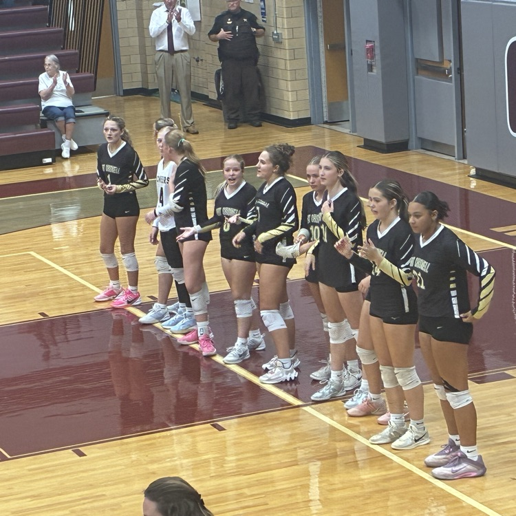 volleyball team lines up on the court for introductions