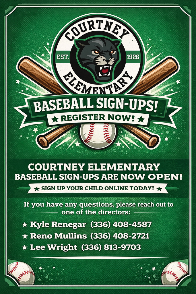 Baseball Flyer