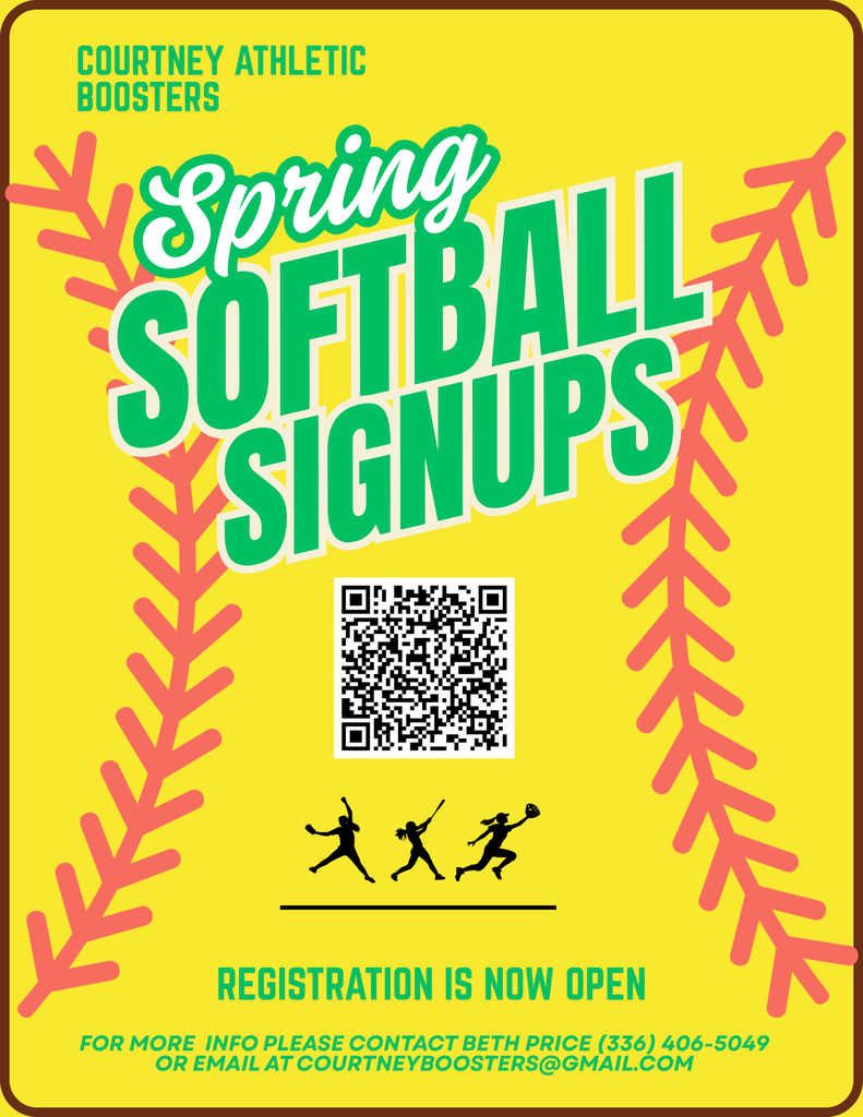 Softball Flyer