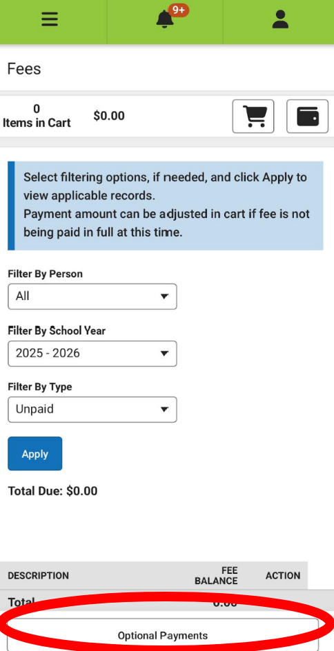 online payment