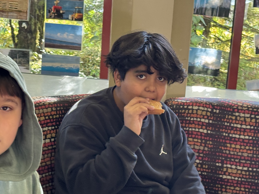 fdsfd