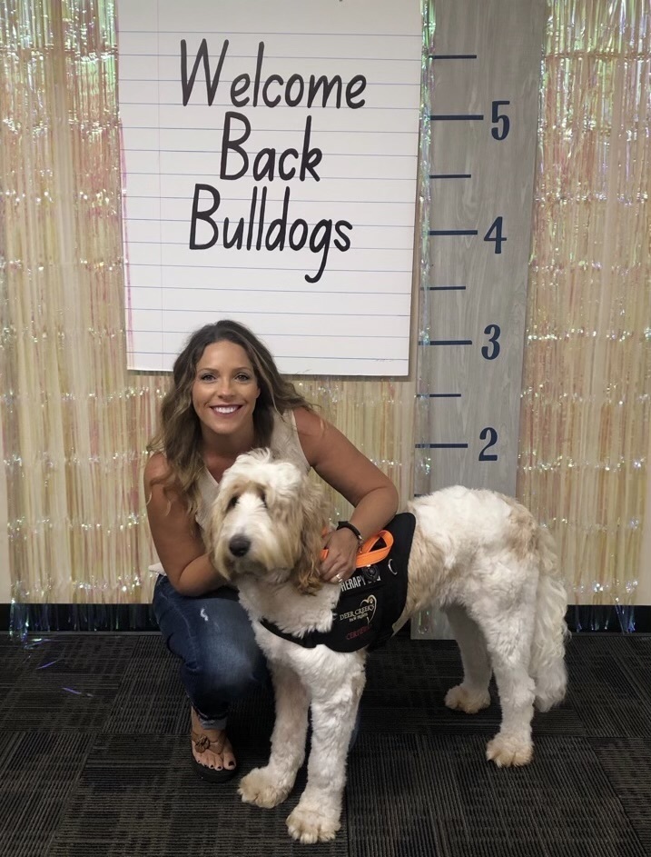 Therapy dog