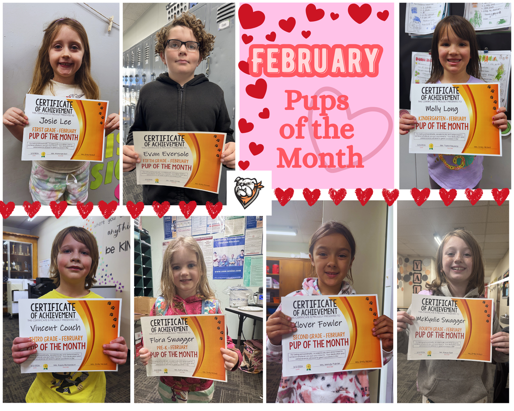Pup Social Media Photo Collage (February)