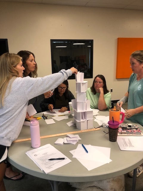 Professional Development Groups
