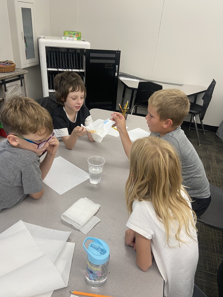 Science Experiment