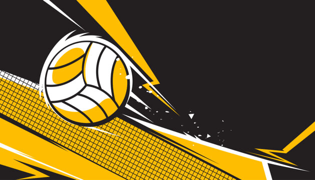 volleyball