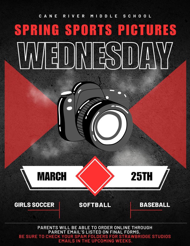 Spring Sports Flyer