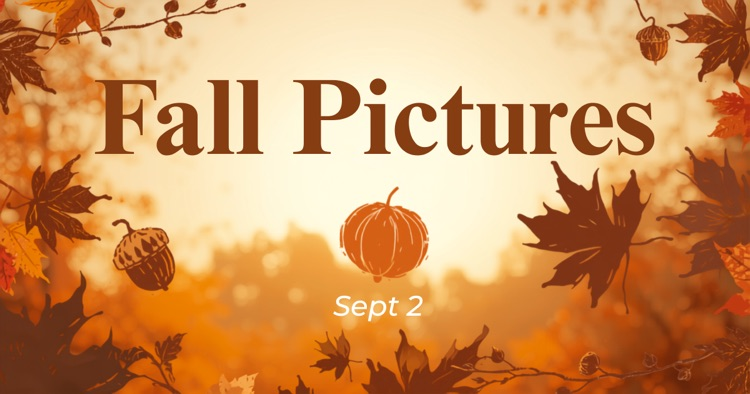 Fall Pictures