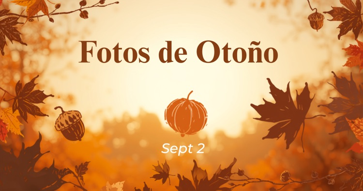 Fall Pictures