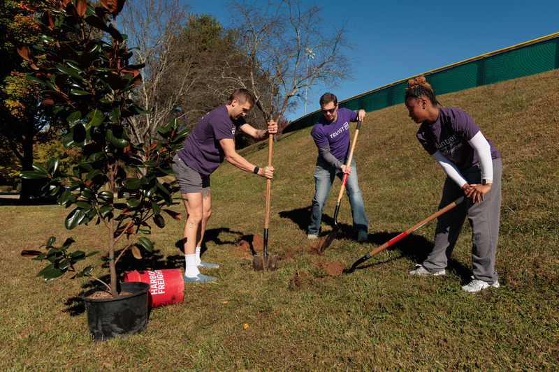 two men and one woman planting a tree