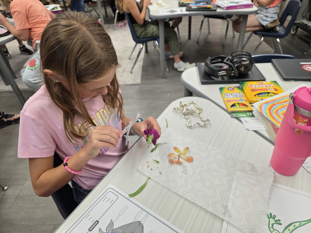 Dissecting flowers
