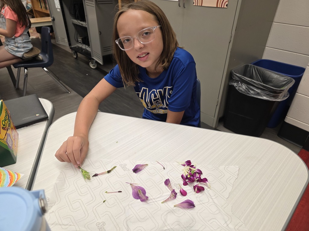 Dissecting flowers