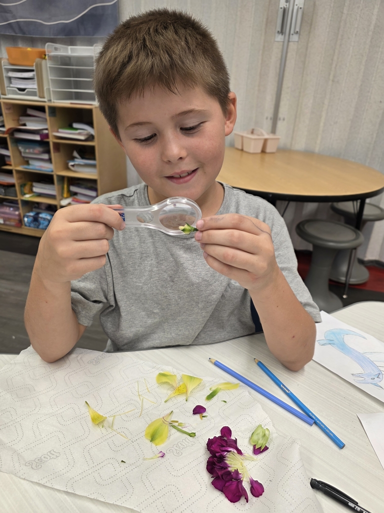 Dissecting flowers