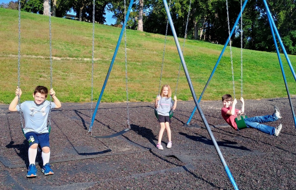 swings