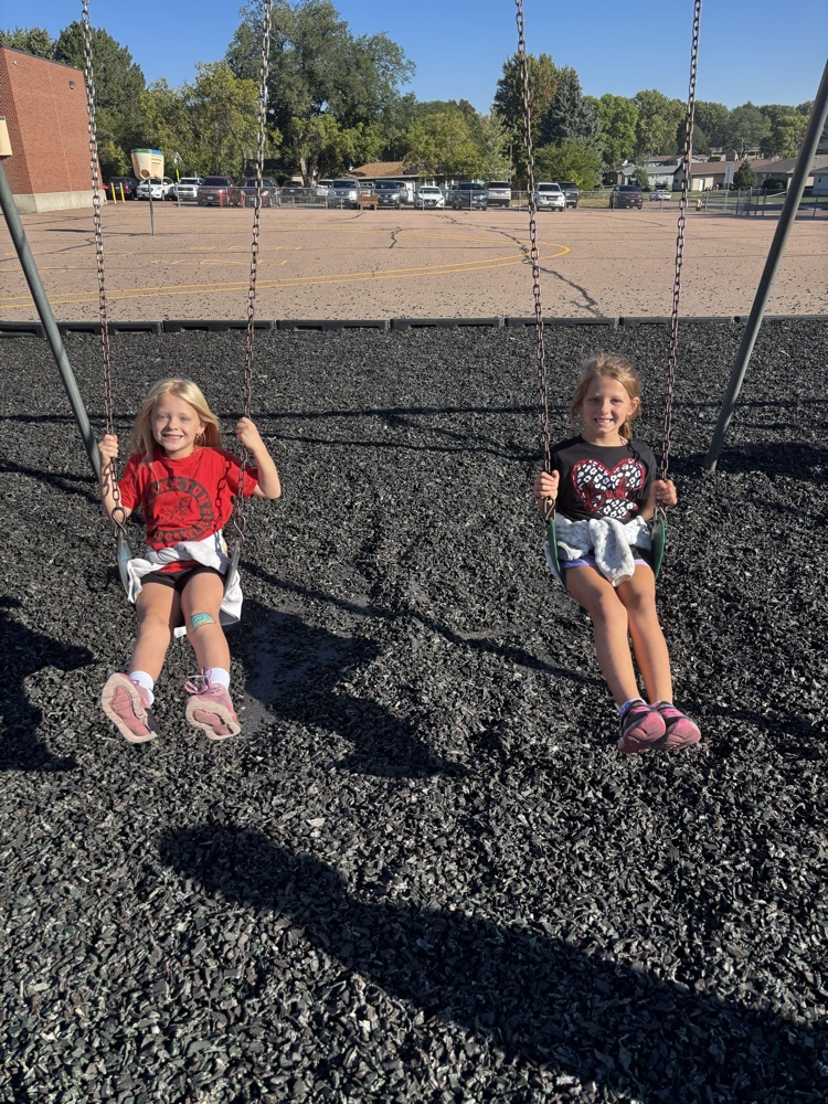 swings 