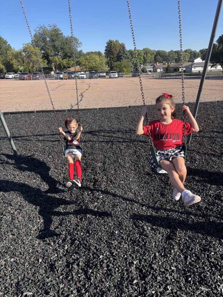 swings