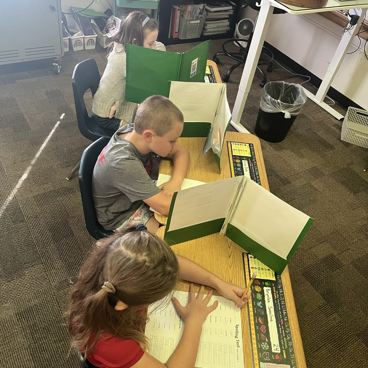 Mrs. Vlasman's Beadle 2nd graders are full of focus for their test.