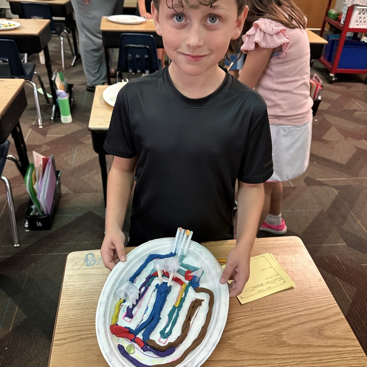 marble maze