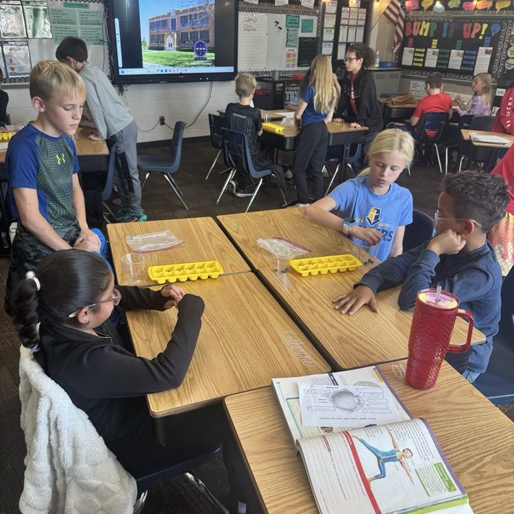 Mrs. Lukkes's 4th graders at Beadle finished their social studies lesson on ancient Ghana by playing a Ghana version of mancala.