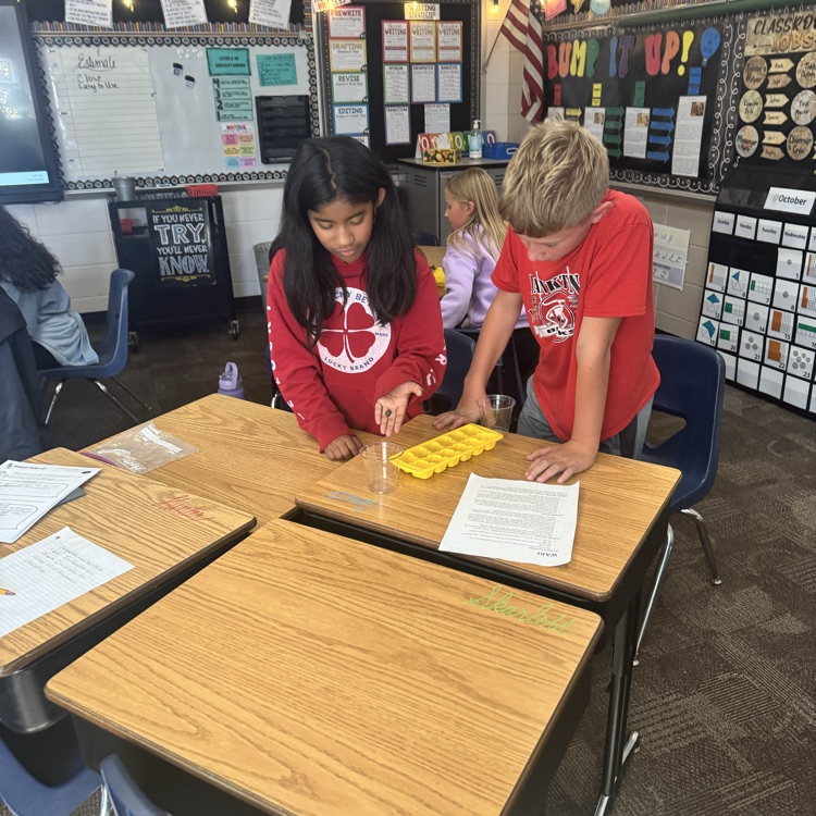 Mrs. Lukkes's 4th graders at Beadle finished their social studies lesson on ancient Ghana by playing a Ghana version of mancala.