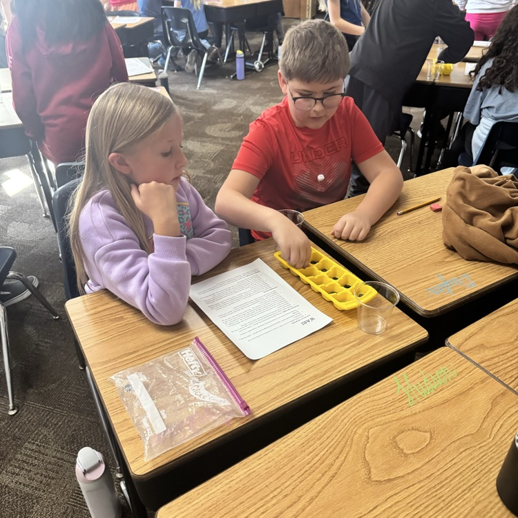 Mrs. Lukkes's 4th graders at Beadle finished their social studies lesson on ancient Ghana by playing a Ghana version of mancala.