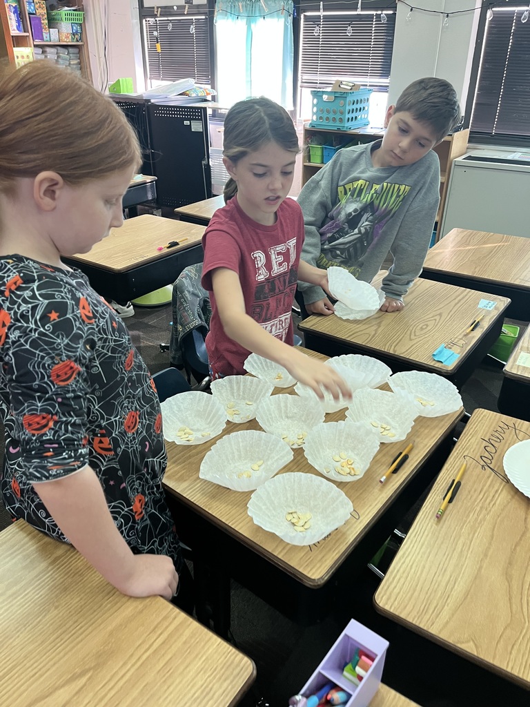 Making groups of seeds