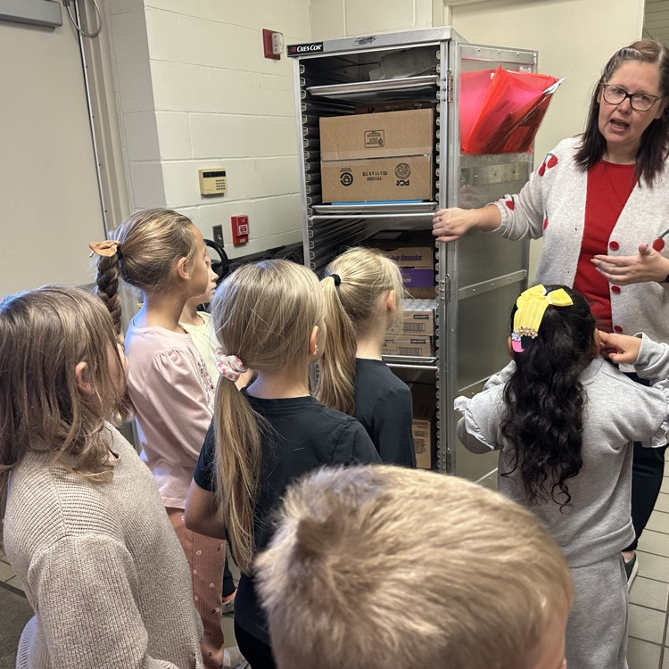 trays for our school lunches