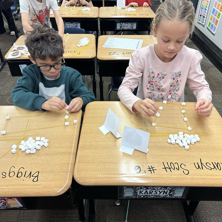 let’s catch a turkey