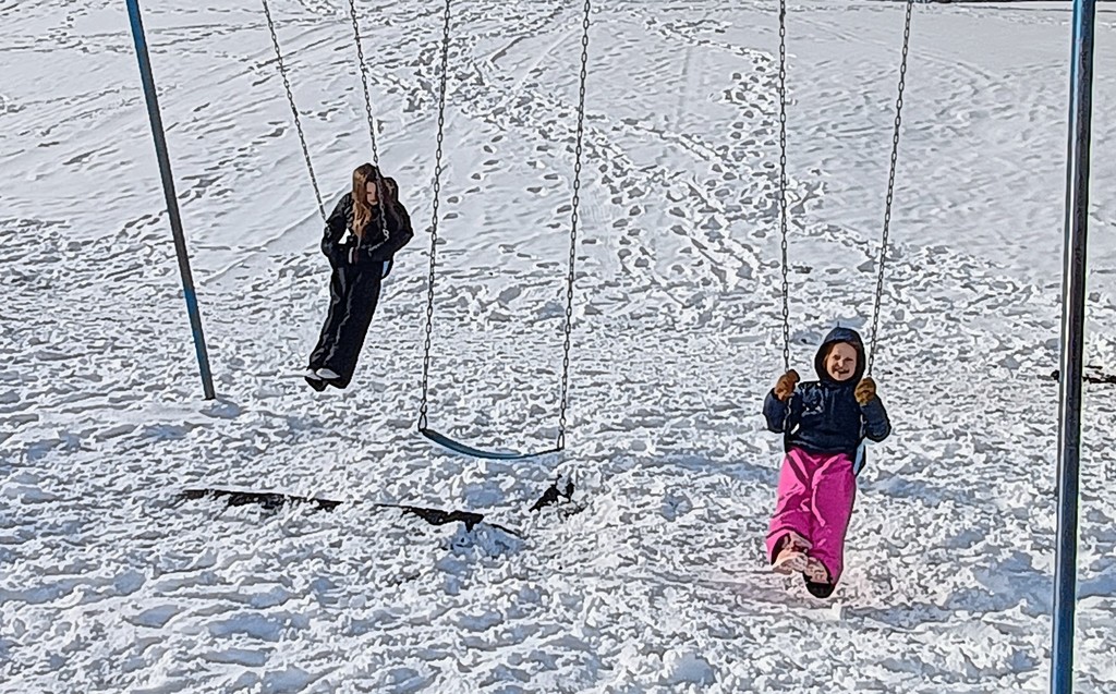 swings in the snow