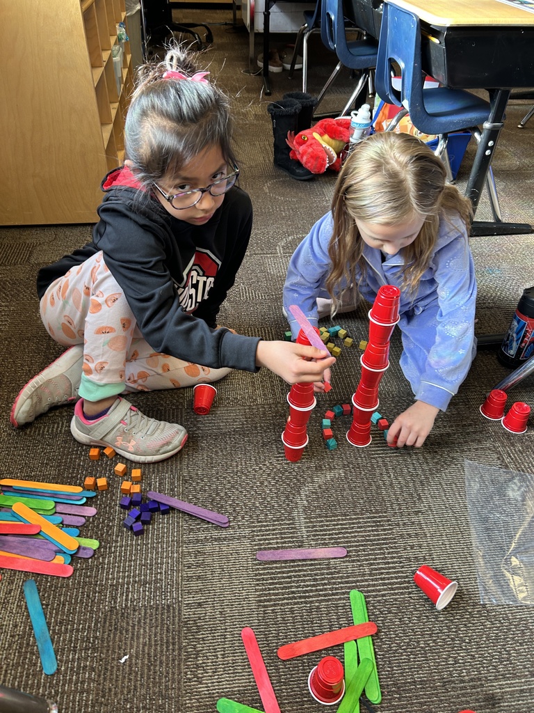 Beadle STEM Activity