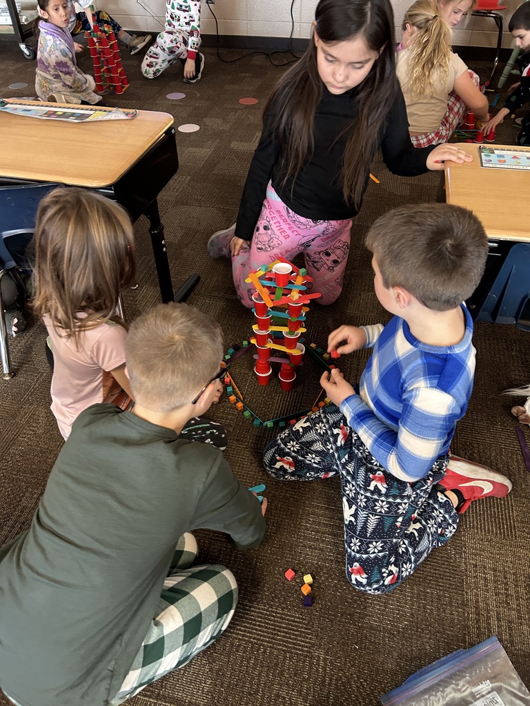 Beadle STEM Activity