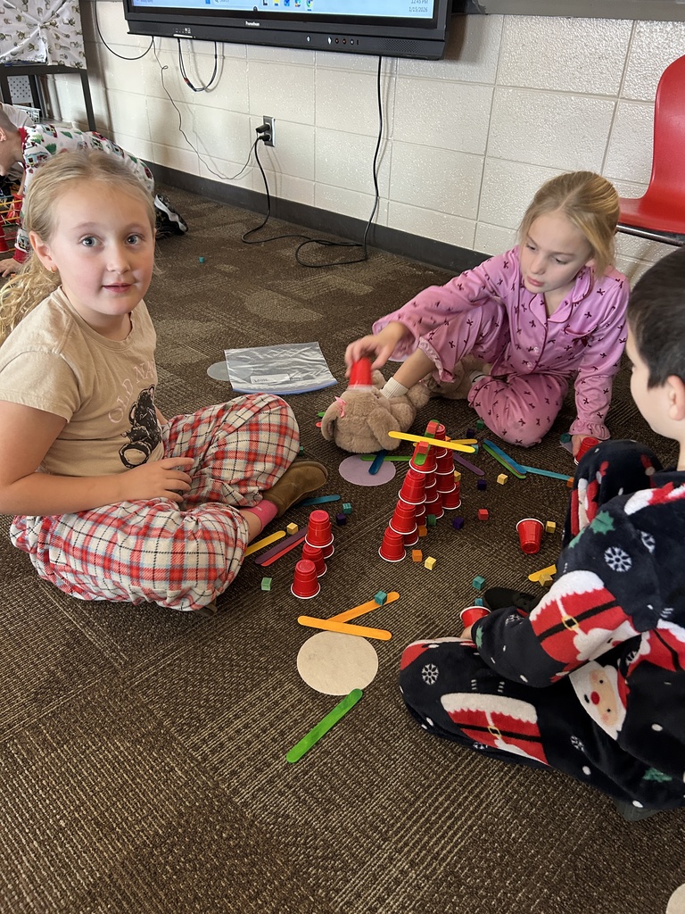 Beadle STEM Activity