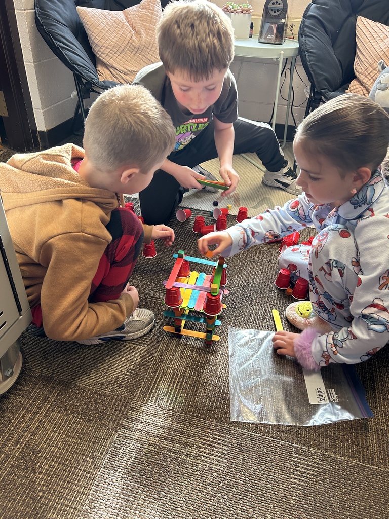 Beadle STEM Activity