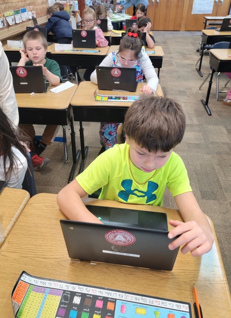 Students working on Chromebooks.