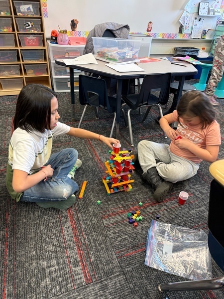 working together to build a tower