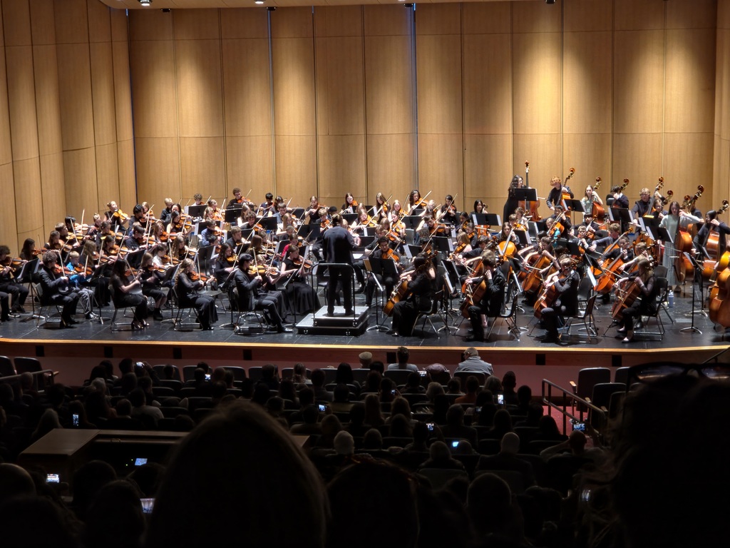 SDMEA All State Orchestra in concert