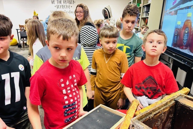 Bee boxes & bee suit