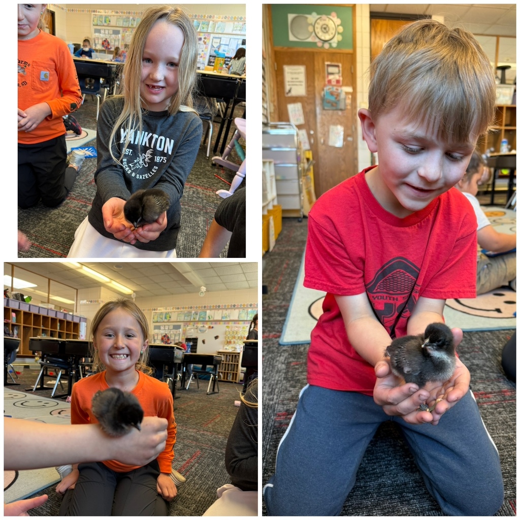 holding chickens