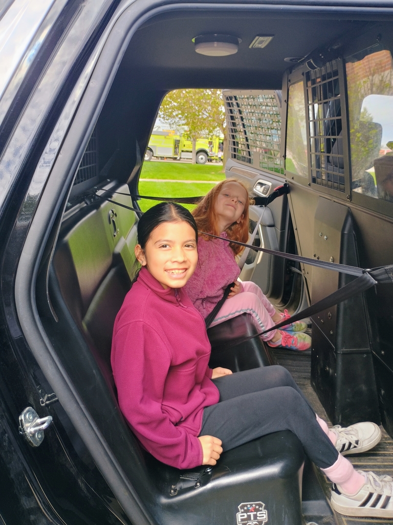 police car back seat