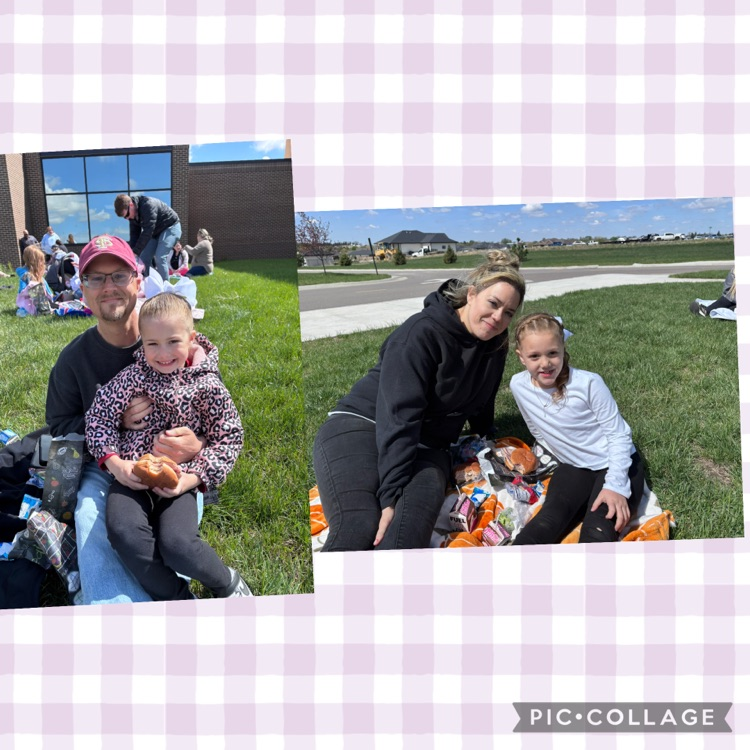 picnic