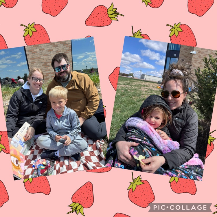picnic