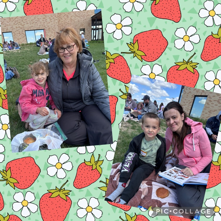 picnic
