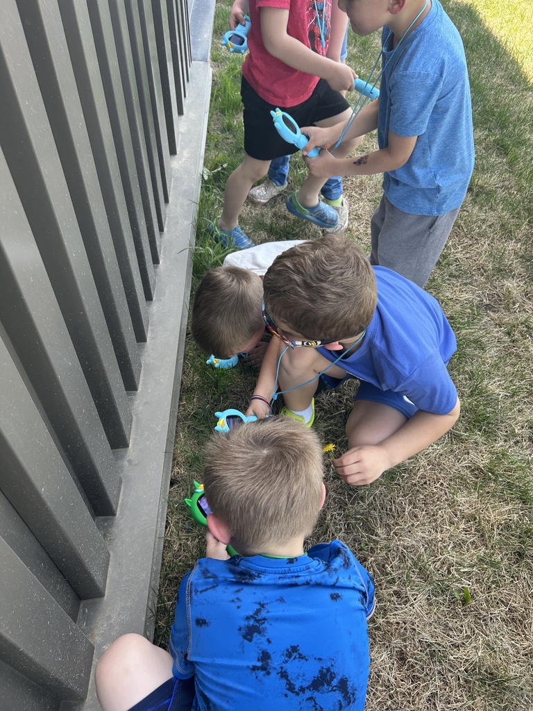 TLC  Bug Inspectors