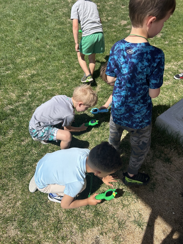 TLC  Bug Inspectors