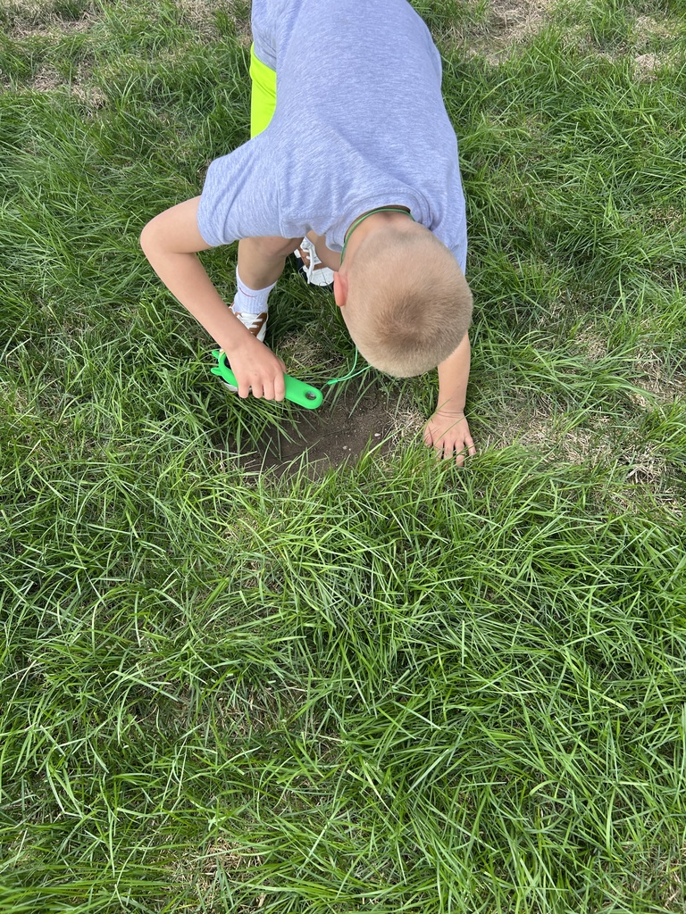 TLC  Bug Inspectors