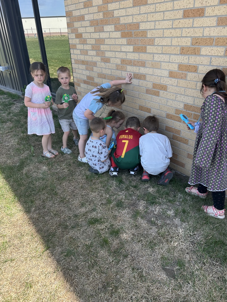 TLC  Bug Inspectors