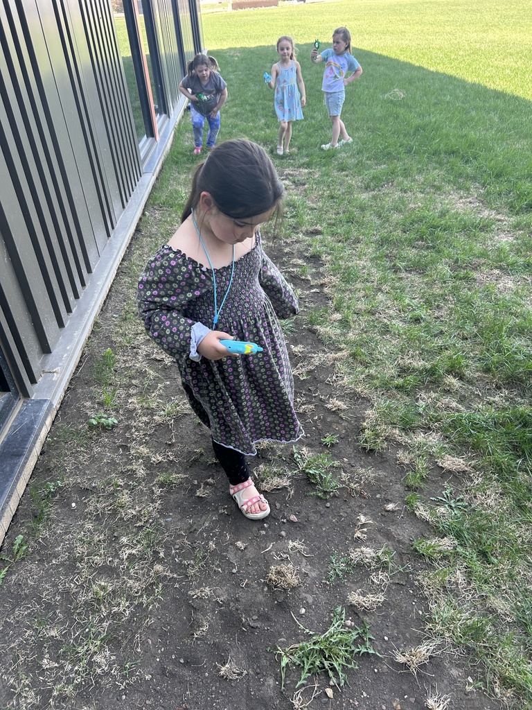 TLC  Bug Inspectors