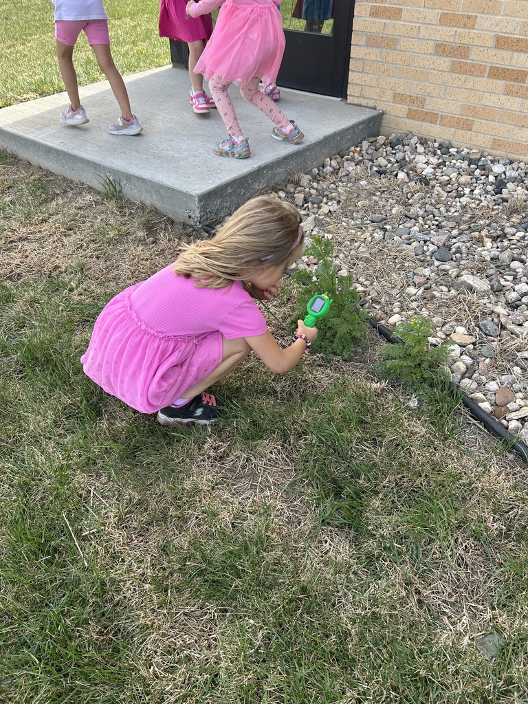 TLC  Bug Inspectors