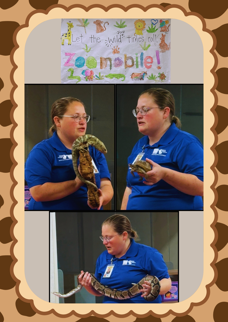 Zoomobile