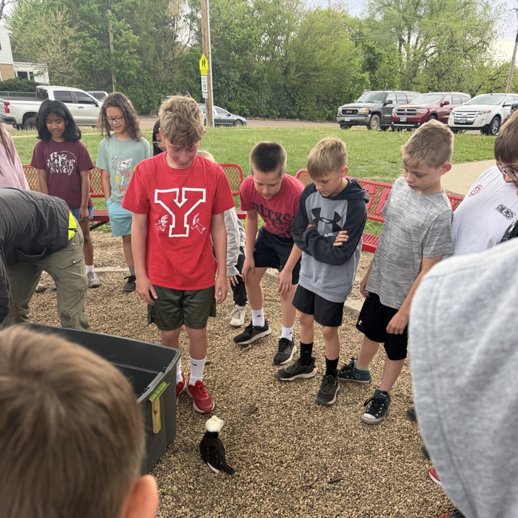 Beadle fourth graders in Mrs. Lukkes's class had some surprise visitors today. They got to see and learn about a classmate's chickens! We also learned how many of our classmates also had chickens at home too!